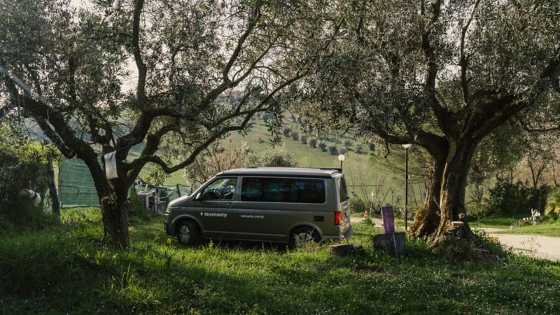 Der VW Agribus steht zwischen 2 Olivenbäumen.