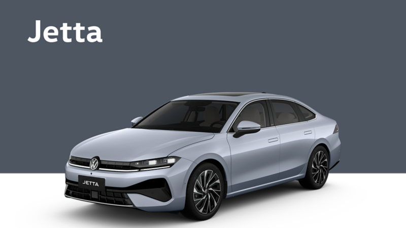 Jetta on a light blue background