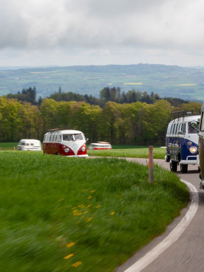Mehrere VW Bullis fahren auf einer Passstrasse
