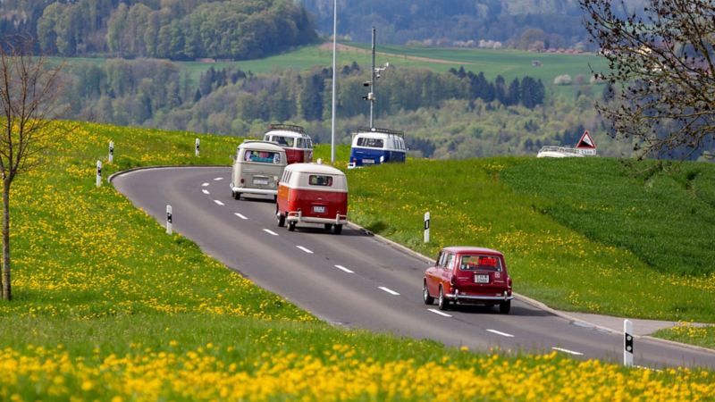 Plusieurs VW Bulli et une VW Coccinelle circulent sur une route