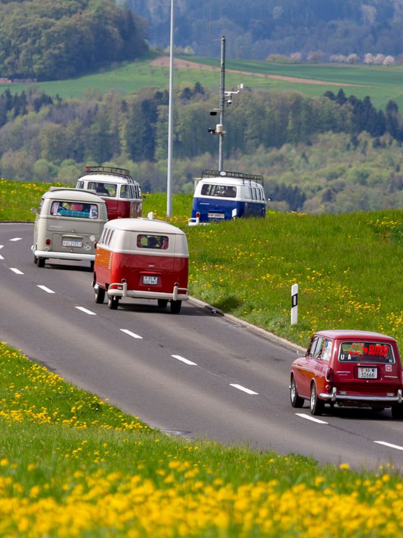 Diverse VW Bullis e un Maggiolino VW alla guida su una strada