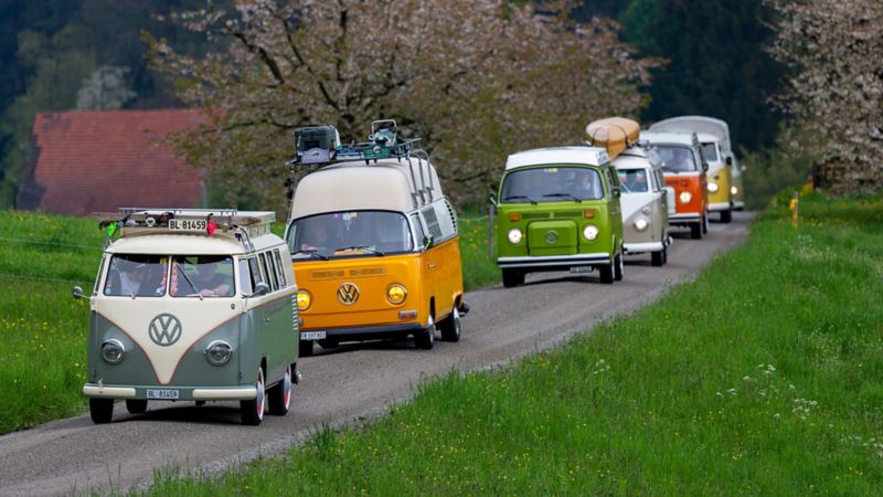 Mehrere VW Bullis fahren auf einer Strasse
