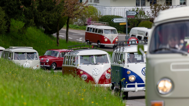Mehrere VW Bullis auf einer Strasse