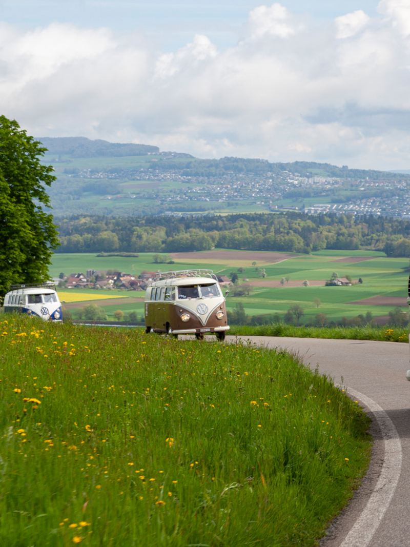 Plusieurs VW Bulli circulent sur une route de col