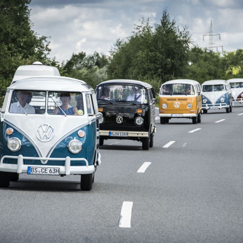 Diversi autobus VW su una strada