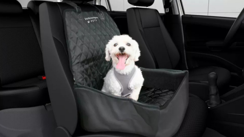 Perro mediano en asiento trasero de automóvil Volkswagen, el carro apto para viajar con tus mascotas