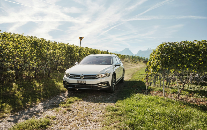 Passat Alltrack in Reben