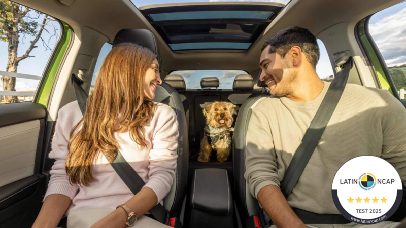 Pareja y su perro viajan en los asientos de una Volkswagen Taos de color verde con techo panorámico.