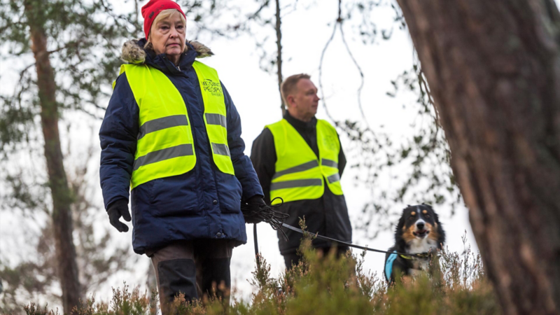 Missing People sökhund