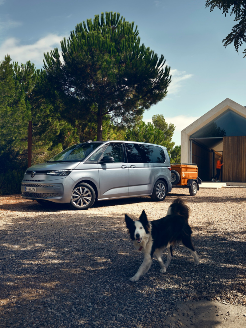 Un chien court à côté du nouveau Multivan VW.