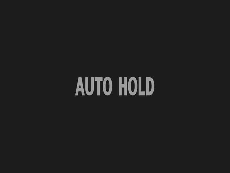 White auto hold function switched on warning light