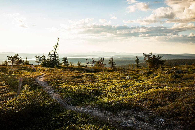Finska Lappland. Foto: Guillem Casanova