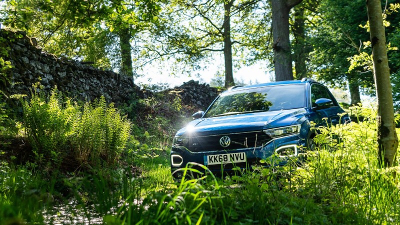 A blue Volkswagen vehicle parked amongst greenery and foliage