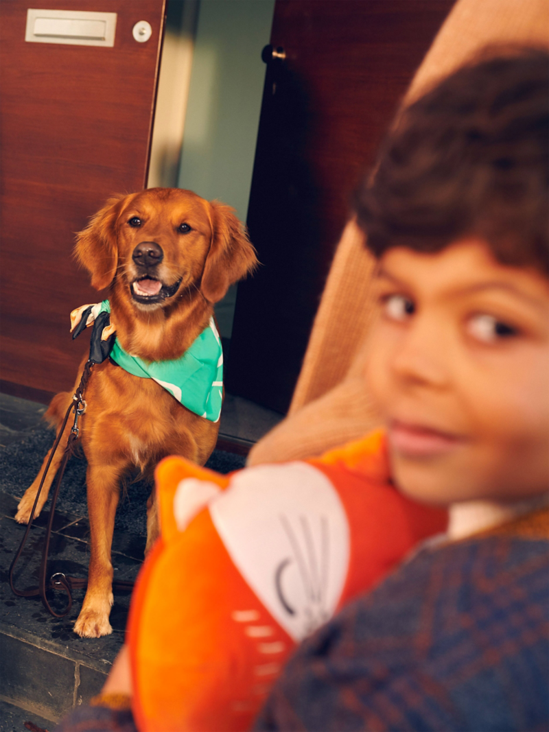 A child smiles into the camera, a dog sits in the background