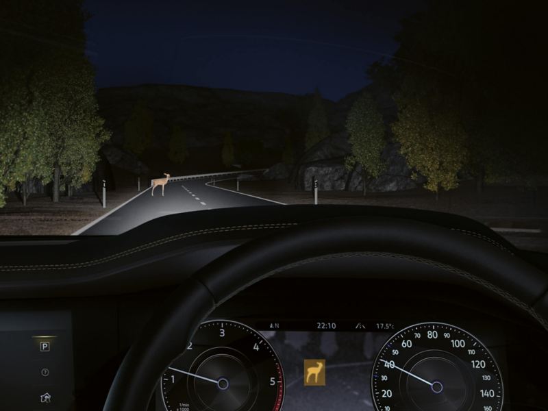 The night vision camera in action at night.