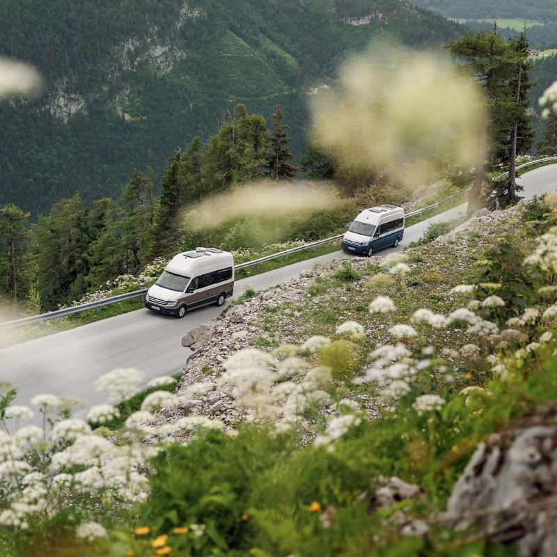 Two VW Grand California in convoy on mountain road with wild flowers landscape