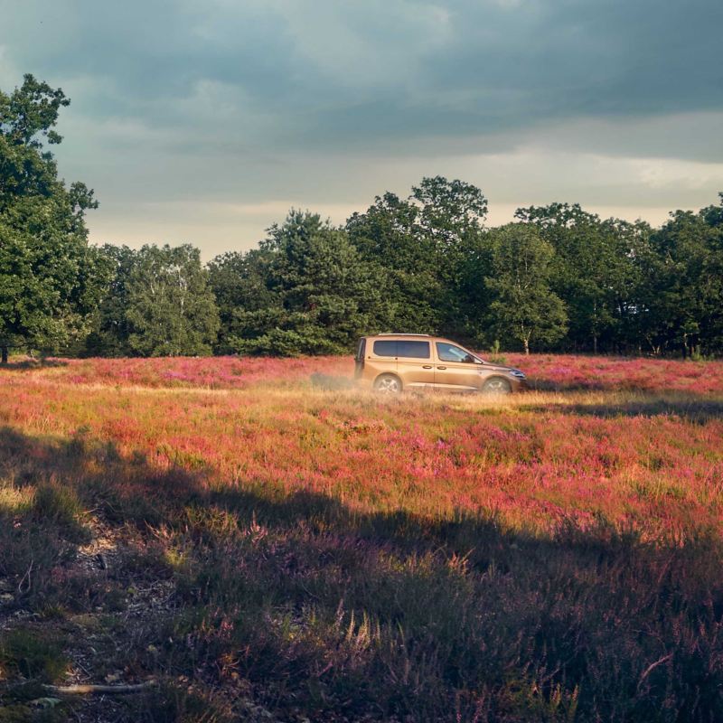 caddy van parking in a field on a sunny day