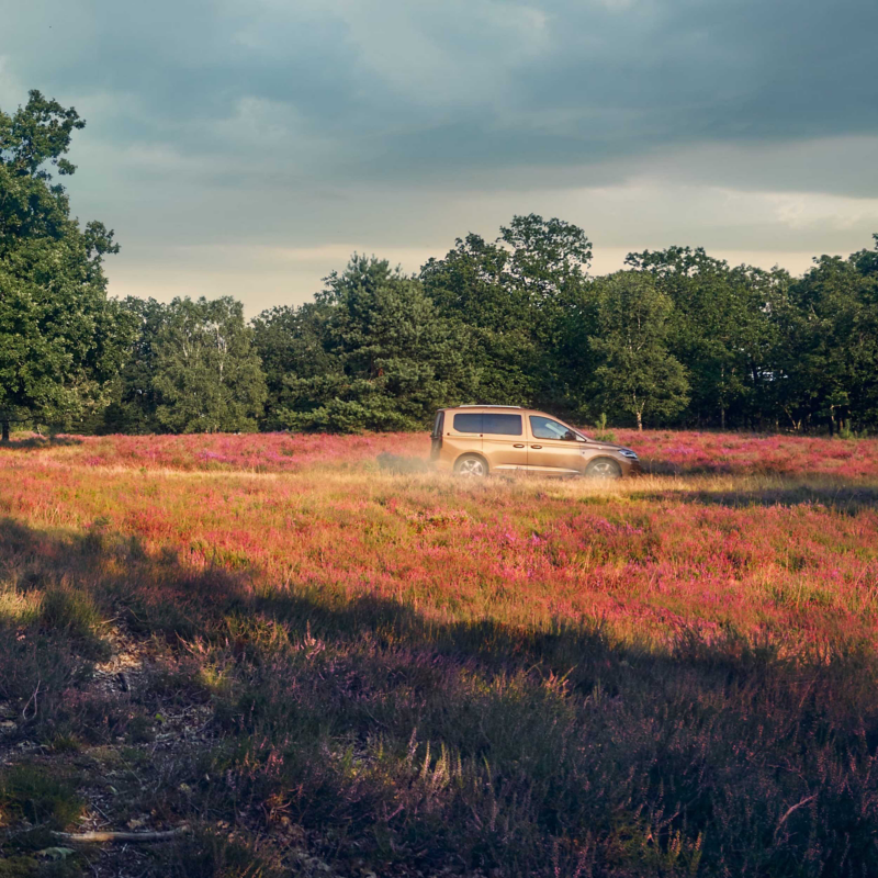 A VW Caddy driving through a countryside setting.