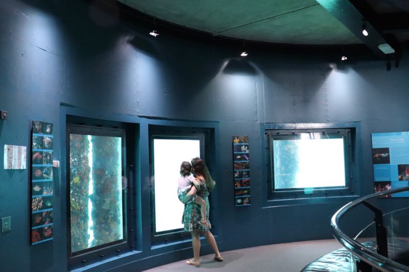 mum-and-child-in-aquarium