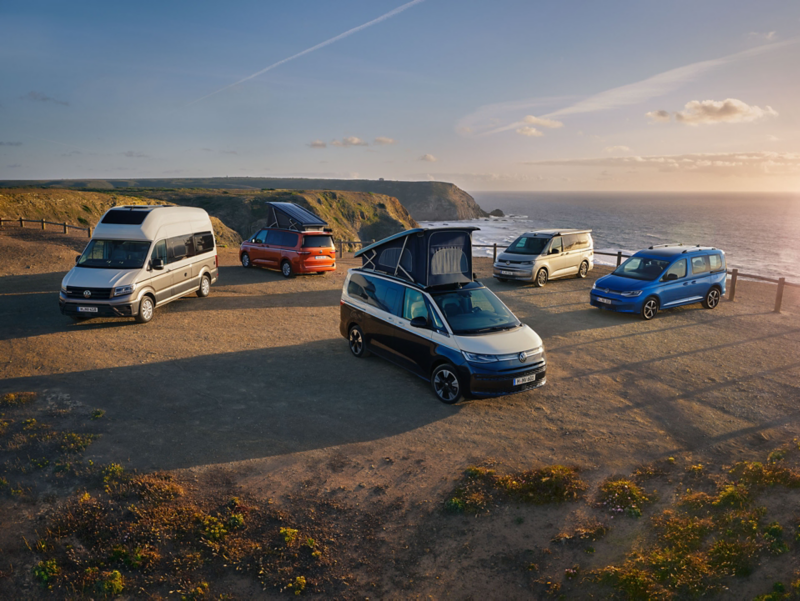 Fünf VW Nutzfahrzeuge stehen in der Natur an einer Klippe