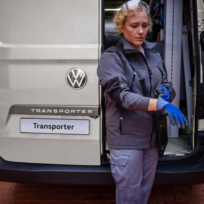 Puertas traseras de dos hojas sin ventanas de VW Transporter