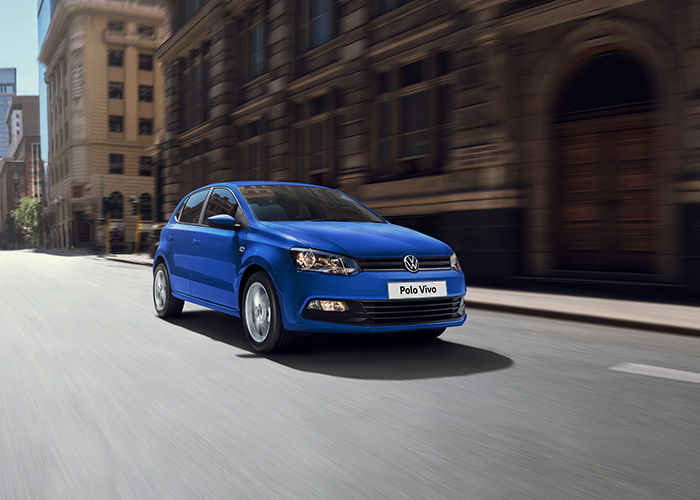 Polo Vivo