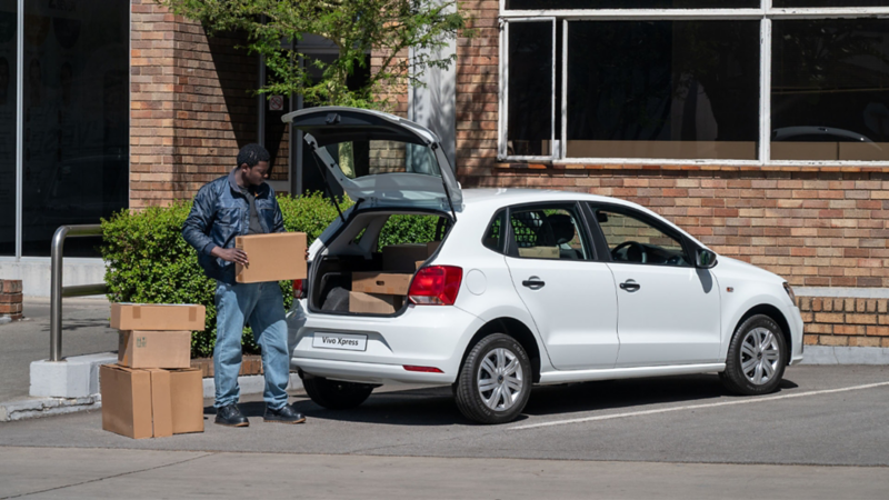 Polo Vivo