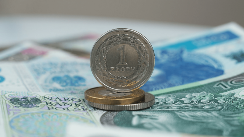 pieniądze, polska waluta