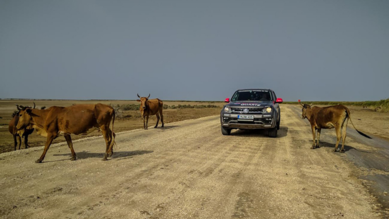 En VW Amarok pickup kör på en ödslig landsväg