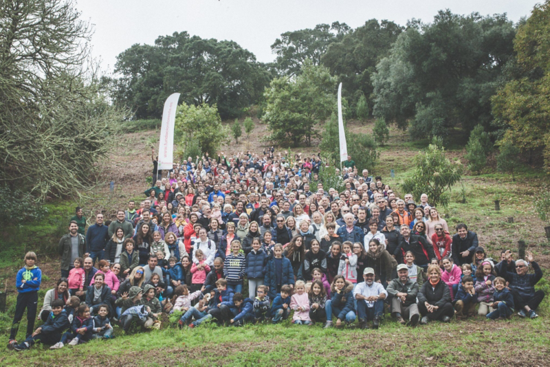 Campaña Volkswagen Canarias Reforestación