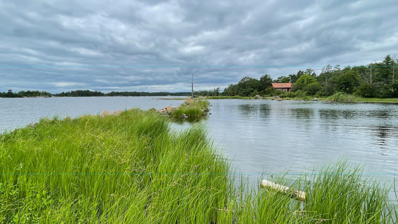 Haus am See.