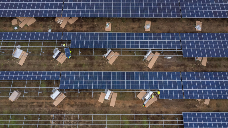 Viele Solarpannels wurden auf einem Feld aufgestellt.