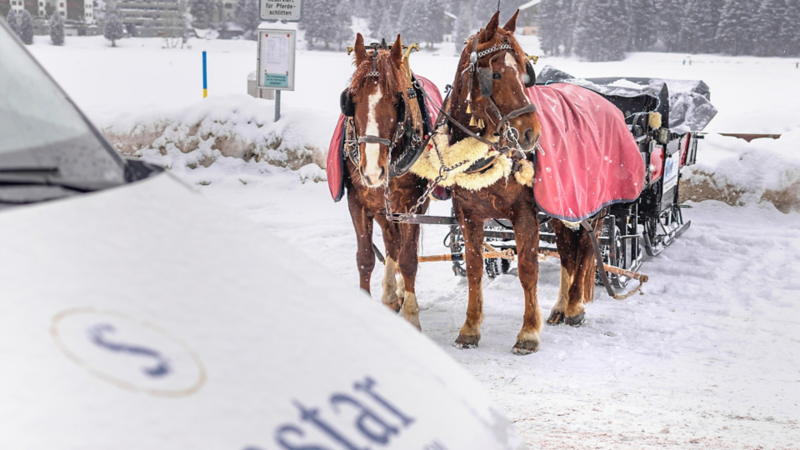 Una carrozza con due cavalli in primo piano e il Sunstart e-Crafter sullo sfondo