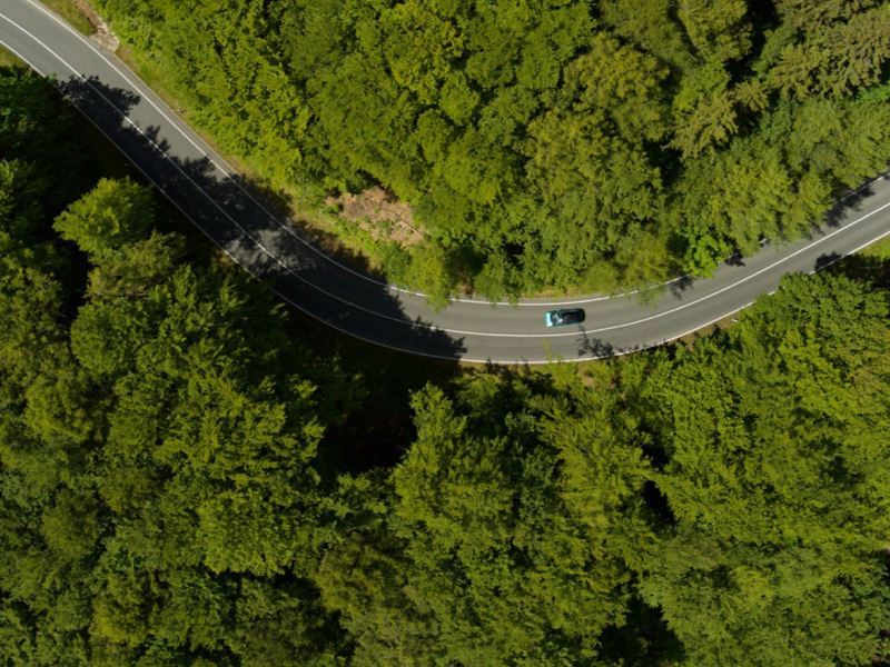 Aerial view: Car driving on a road through a forest.