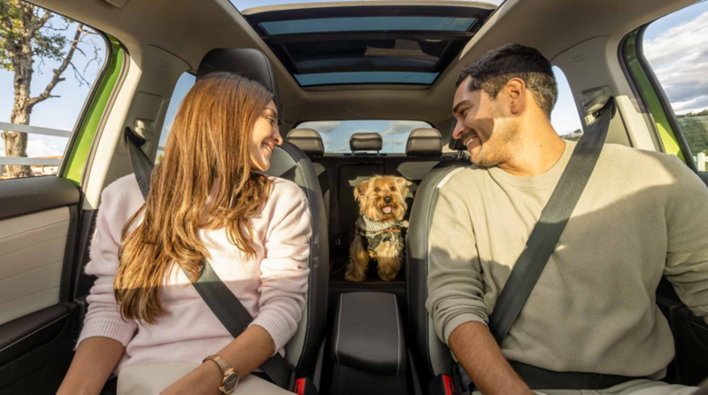 Pareja y perro viajan en el interior de SUV Volkswagen con techo panorámico