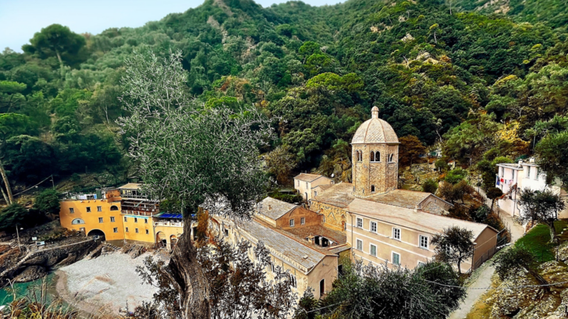 Vue depuis le parc naturel protégé de Portofino