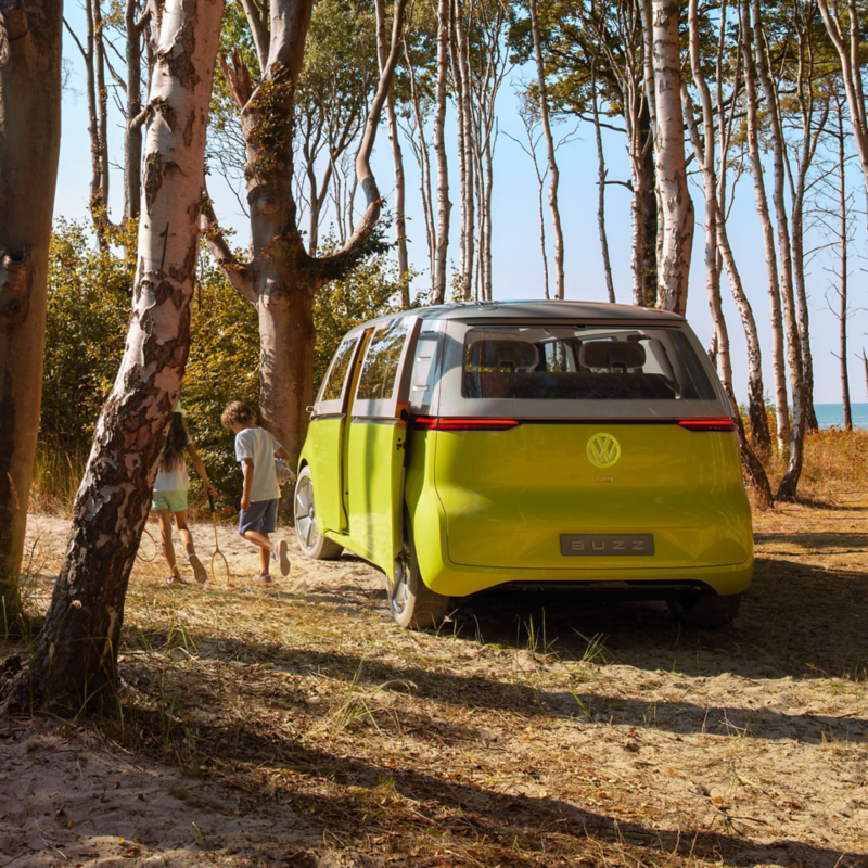 Rear view of the ID. Buzz in the woods