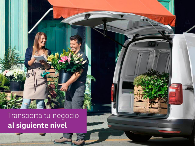 ¿Cómo contratar un plan de renta de vehículo para mi negocio con Volkswagen?