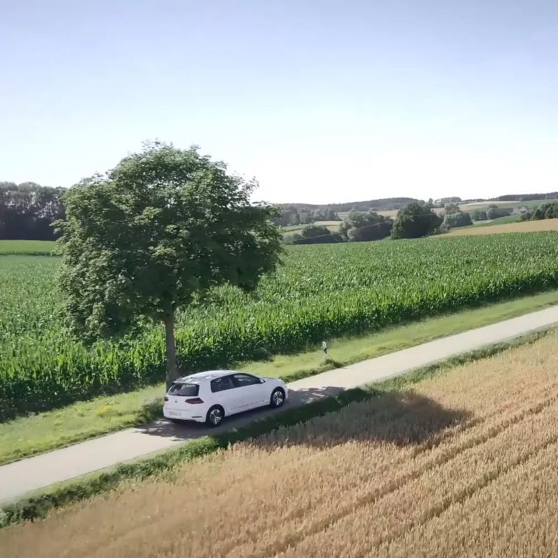Volkswagen Golf blanco circulando por el campo por el día pasando junto a un arbol