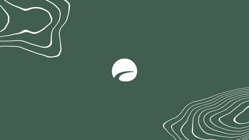 En pastellgrön bakgrund med den vita Kalifornien-logotypen i mitten och topplinjer i kanterna.