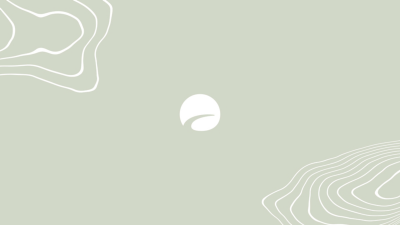 Eine lindgrüne Farbfläche mit dem weißen California Logo in der Mitte und Topolines an den Rändern.