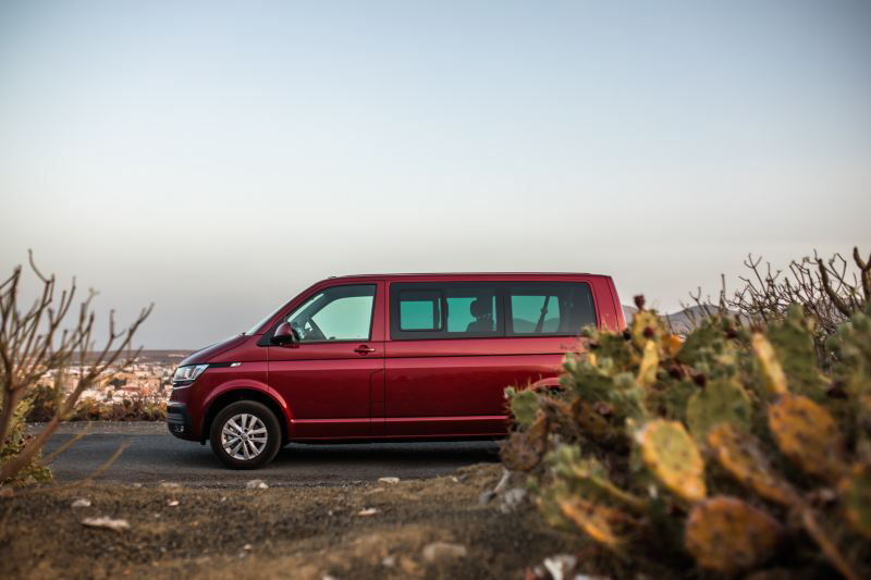Volkswagen California detrás de un cactus