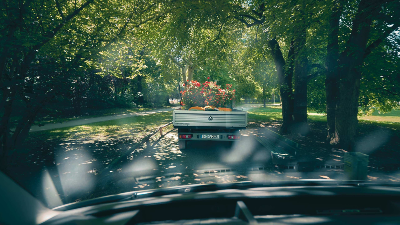 Rear view of the Volkswagen Transporter Cab Chassis carrying plants