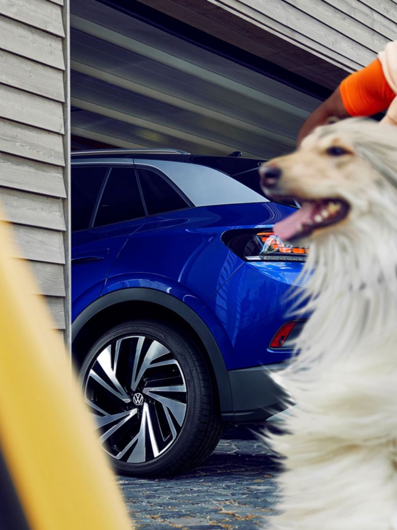 Un hombre con un perro y un Volkswagen ID.4 azul atrás visto parcialmente