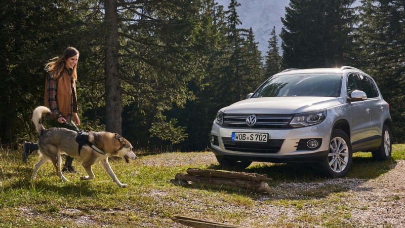 Chica con perro junto a un Volkswagen Tiguan gris estacionado en la montaña