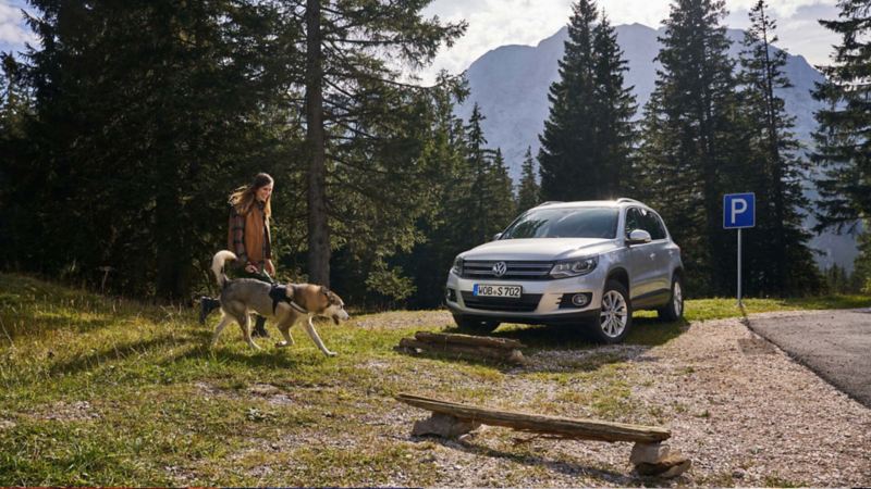 Una mujer en el bosque junto a un Volkswagen estacionado en el exterior