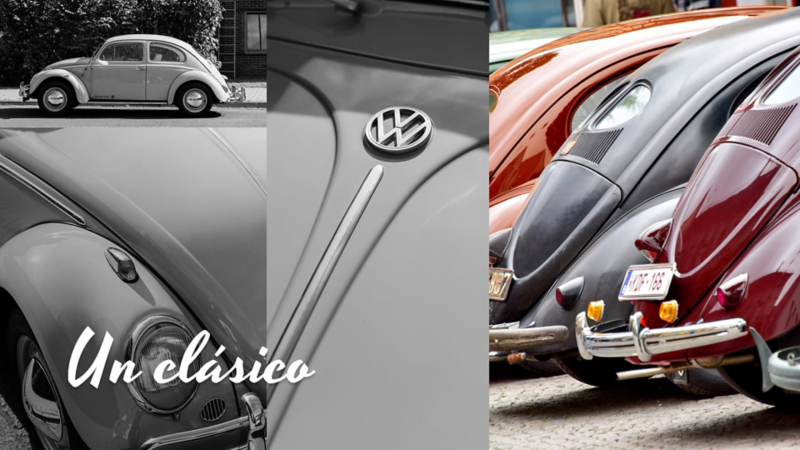 Collage de Volkswagen Beetle clásico