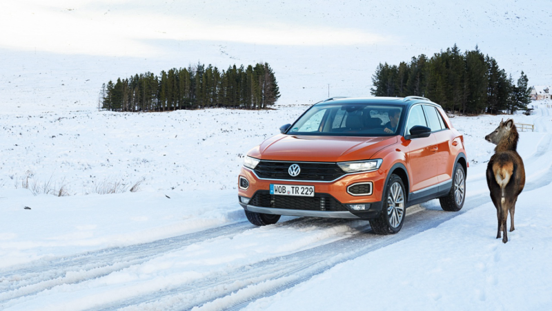 Volkswagen Tiguan naranja en una carretera nevada junto a un reno