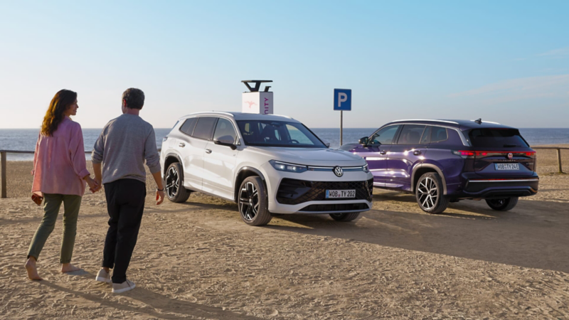 Un hombre y una mujer cogidos de la mano delante de un Tayron blanco y otro violet