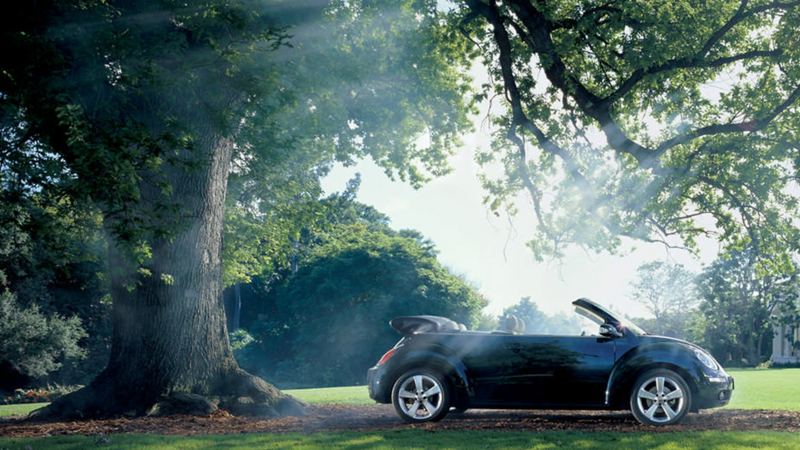 A black Volkswagen Beetle Cabriolet in park grounds